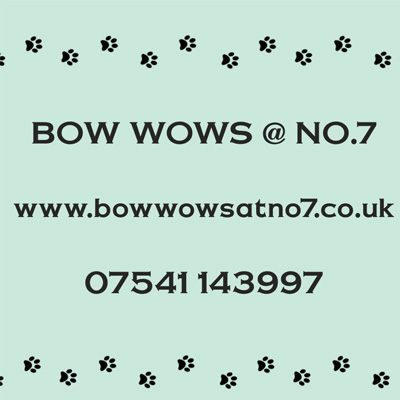 Bow Wows at No. 7